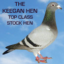 Hollywood Keegan Hen