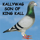 Kallywag